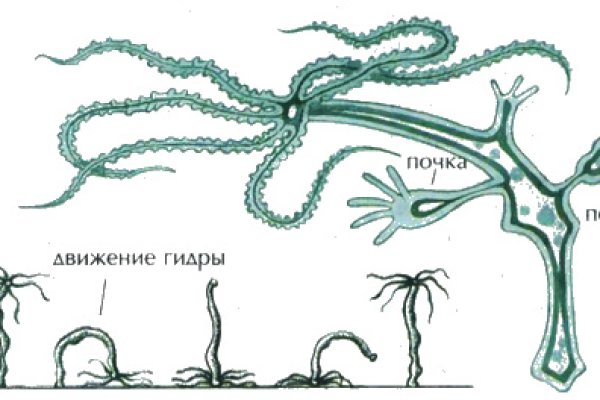 Kraken 2krn cc