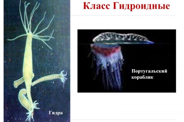 Кракен сайт krakens13 at