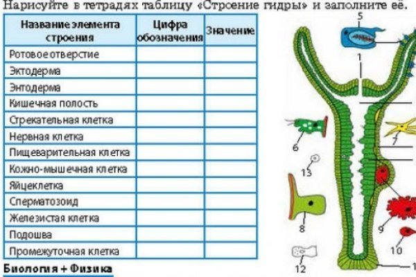 Ссылка адрес на кракен тор